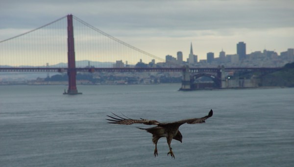 Golden Gate Bridge