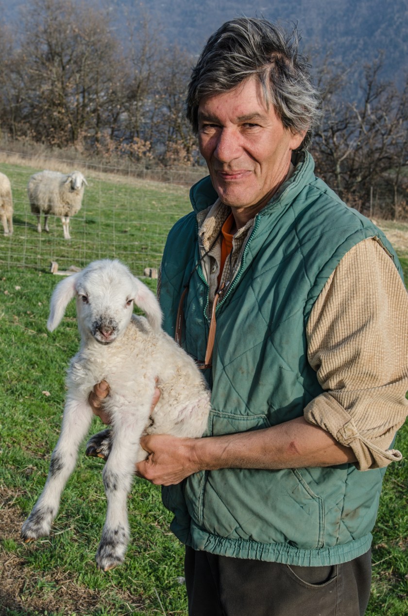 Patrizio con un agnello di pecora Ciuta, varietà locale a rischio di estinzione