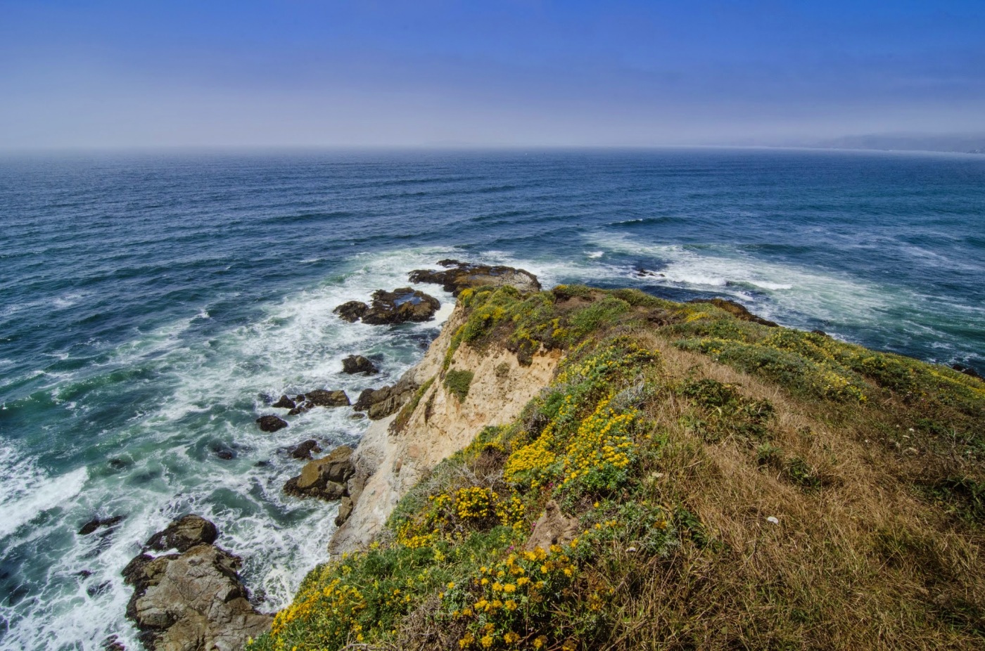 Tomales Point, Point Reyes