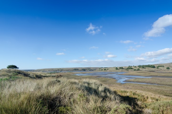 Glenbrook creek estuary