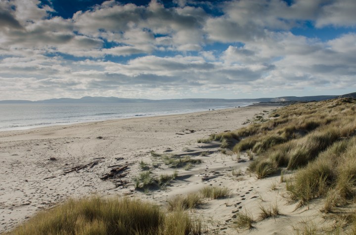 Limantour Beach, Point Reyes National Seashore, California