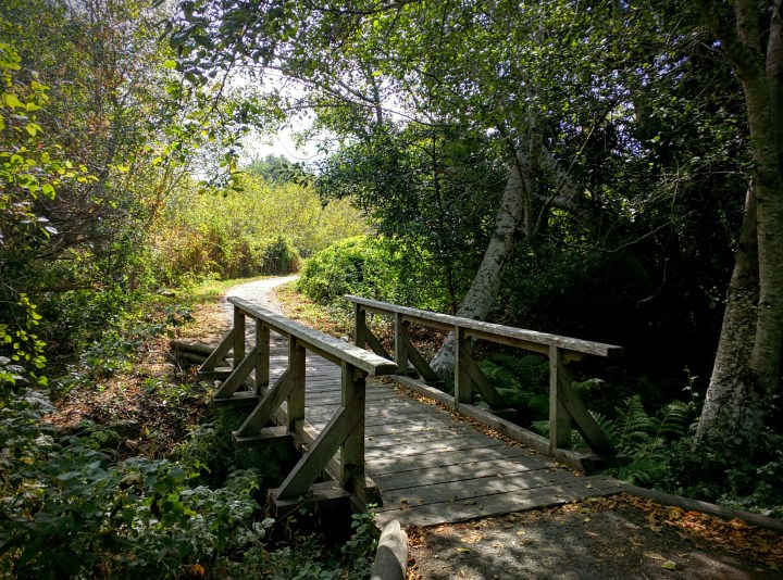 Earthquake Trail at Point Reyes Visitor Center