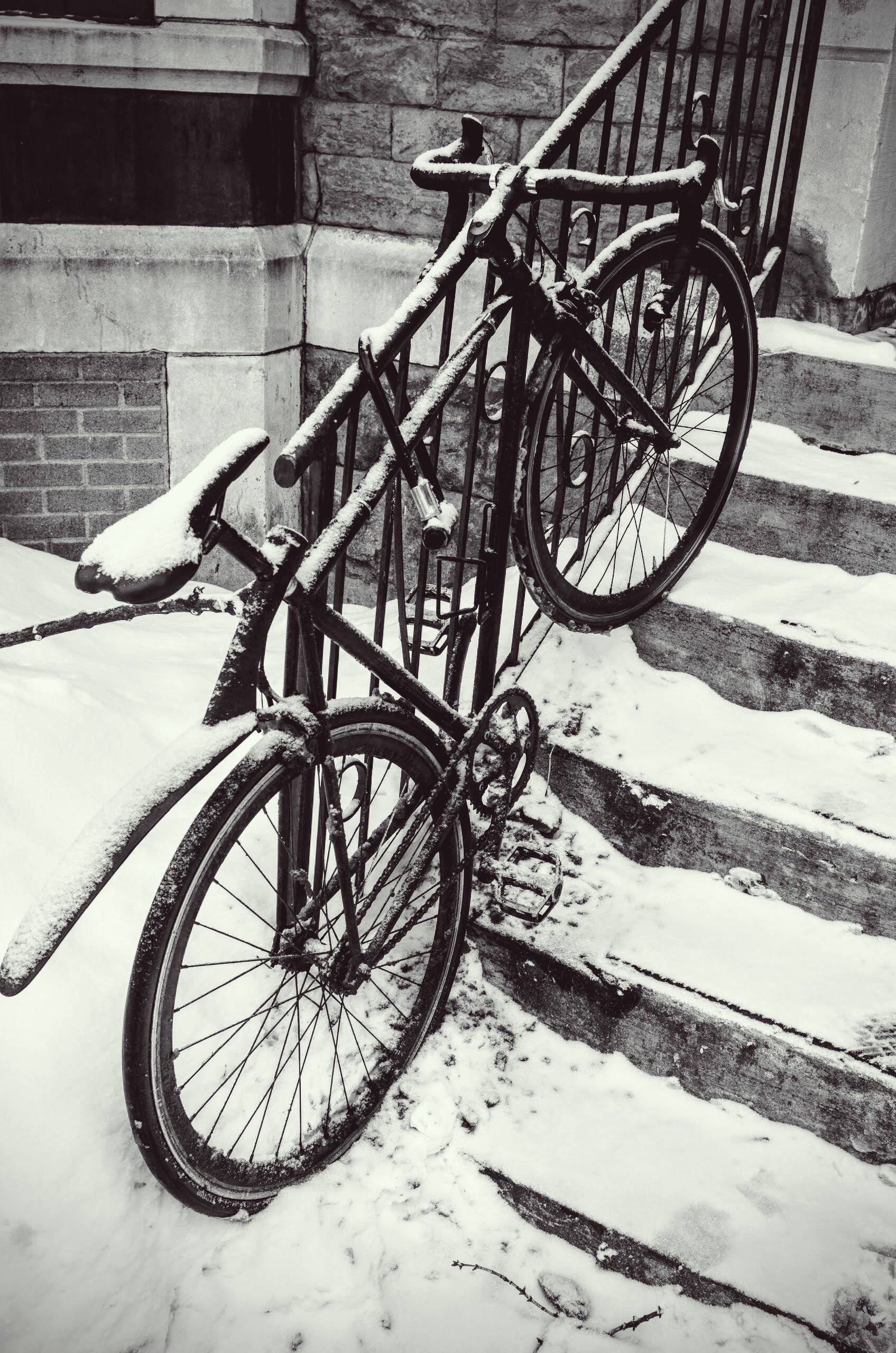 Montreal, nella regione del Quebec, Canada. Molti studenti utilizzano la bicicletta per spostarsi anche nel nevoso periodo invernale.