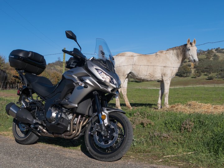 Kawasaki Versys 1000: 101 + 1 horses in Capay Valley