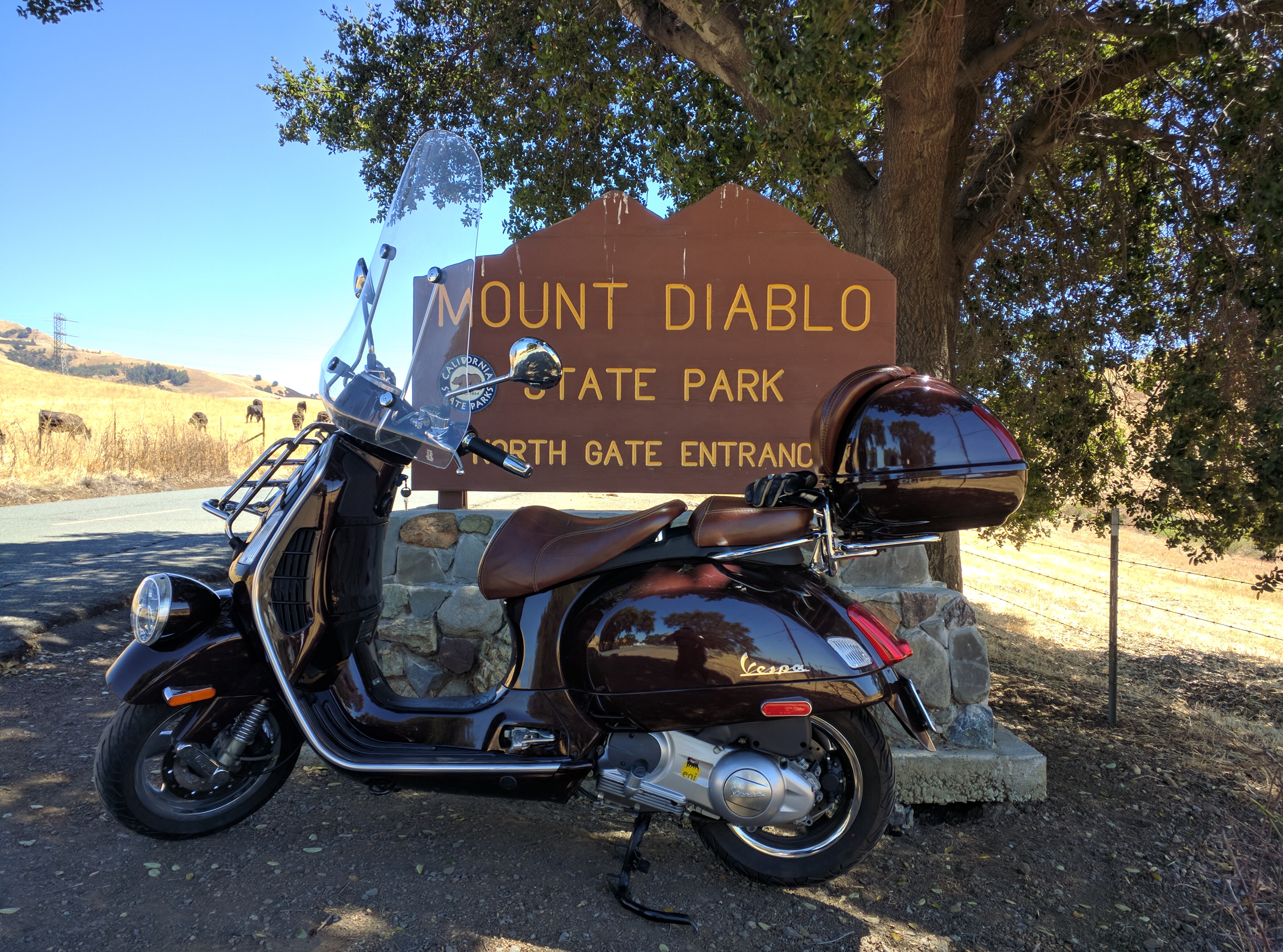 La Vespa adora visitare i parchi naturali