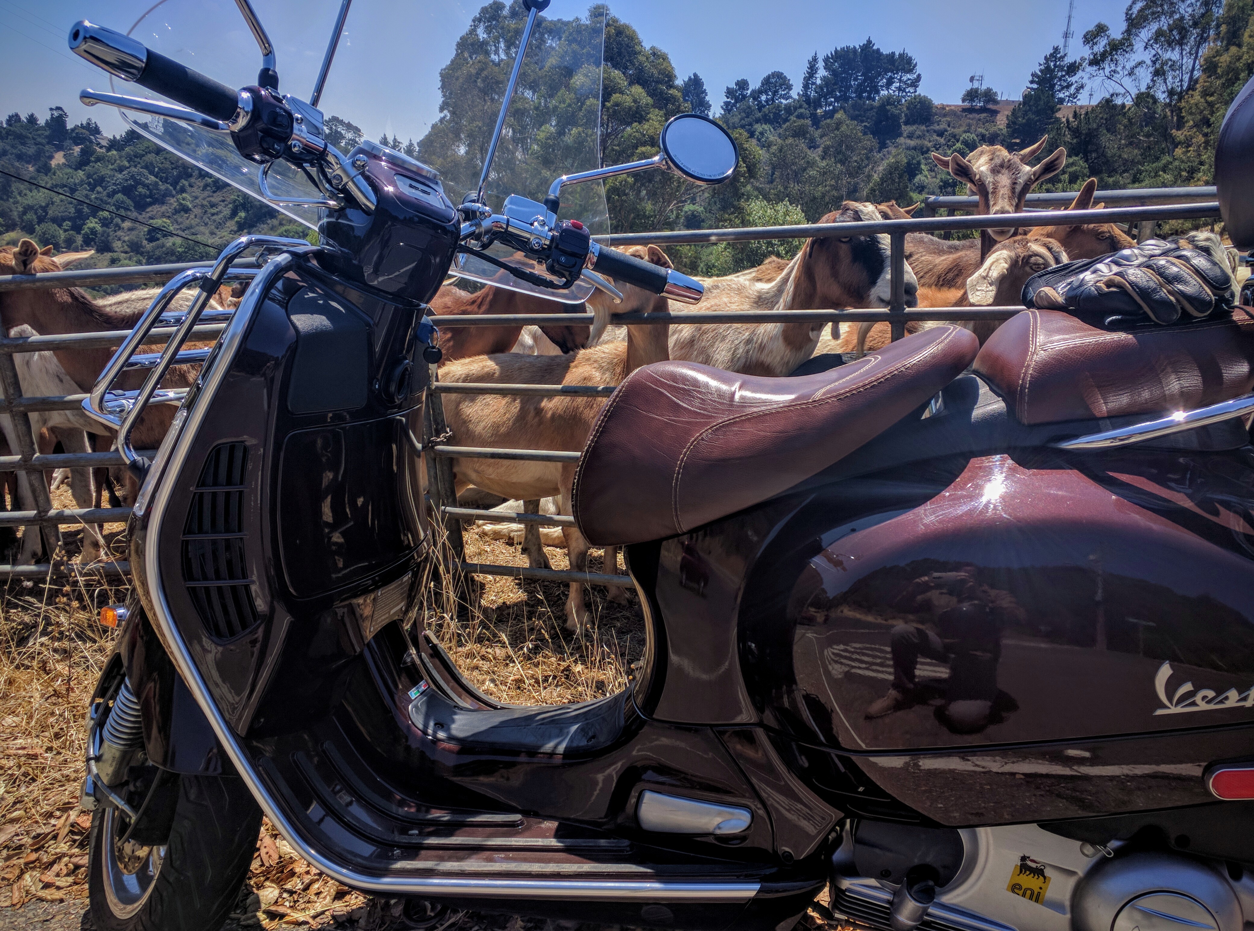 La Vespa ha ammiratori e ammiratrici ovunque