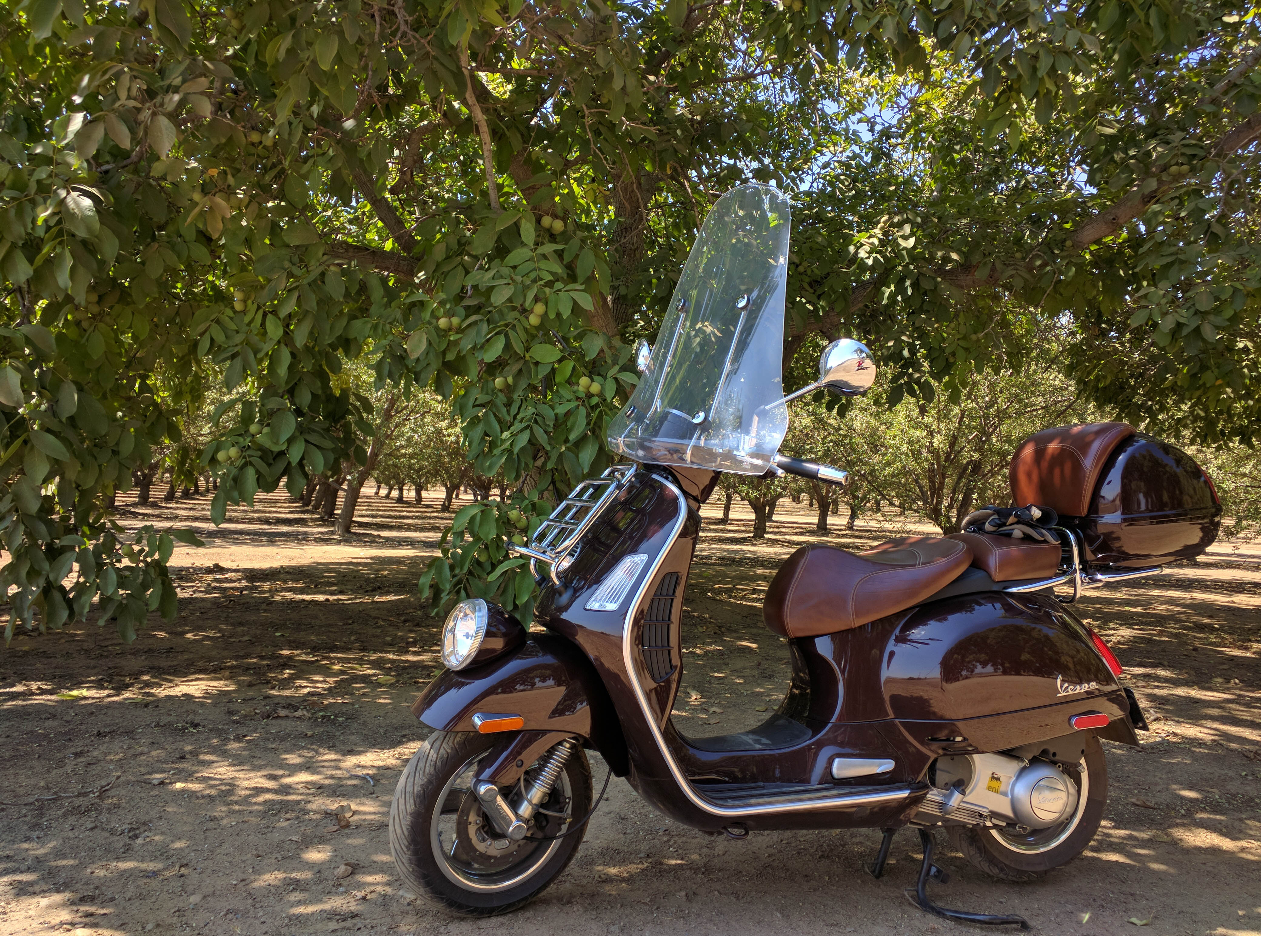 Vespa in un mandorleto californiano