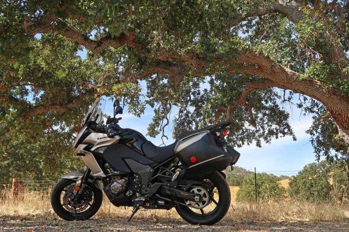 Kawasaki Versys 1000 LT: under the oaks shades on the Mines Road