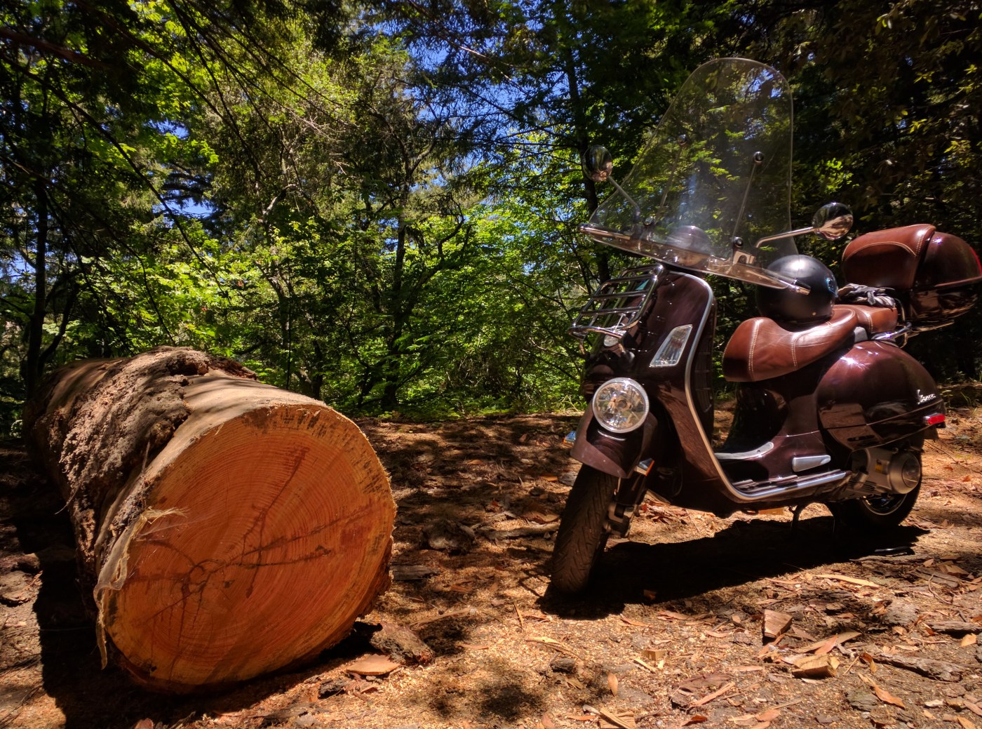 La vespa del boscaiolo