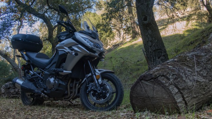 Kawasaki Versys 1000 LT: woods in the Morgan Territory