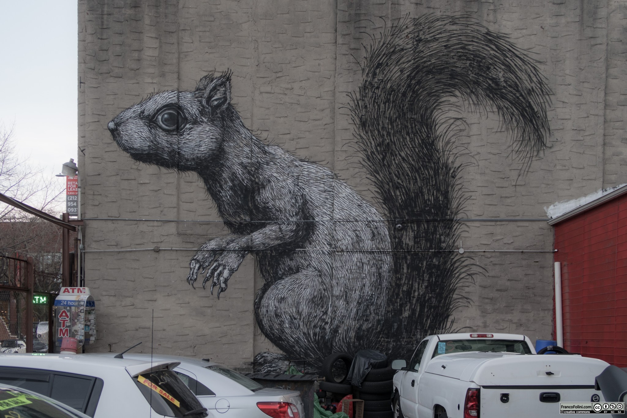 "Squirrel" by ROA, 160 Berry Street Brooklyn, New York