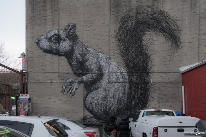 "Squirrel" mural by ROA, 160 Berry Street Brooklyn, New York, USA