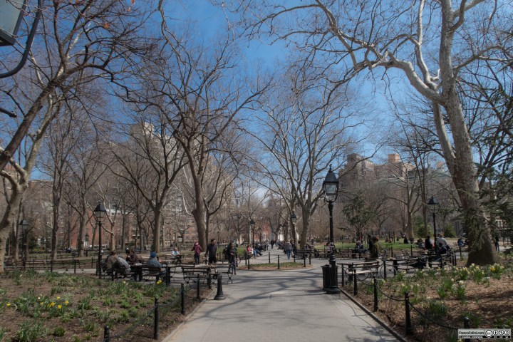 Washington Square Park ,NYC