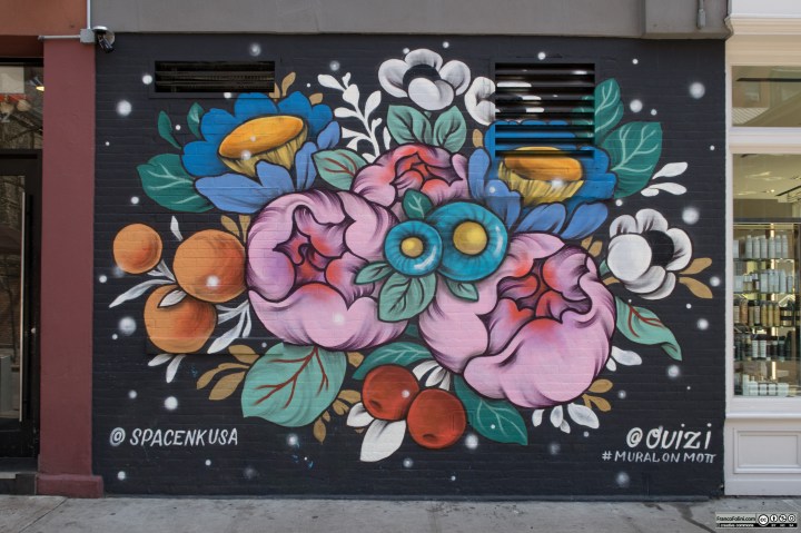 Mural by Ouizi and SpaceNkUs, Mott Street, Manhattan, New York, USA