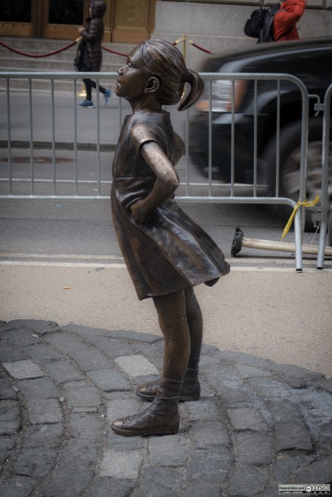Fearless Girl by Arturo Di Modica, Wall Street, NY, Wall Street, NY