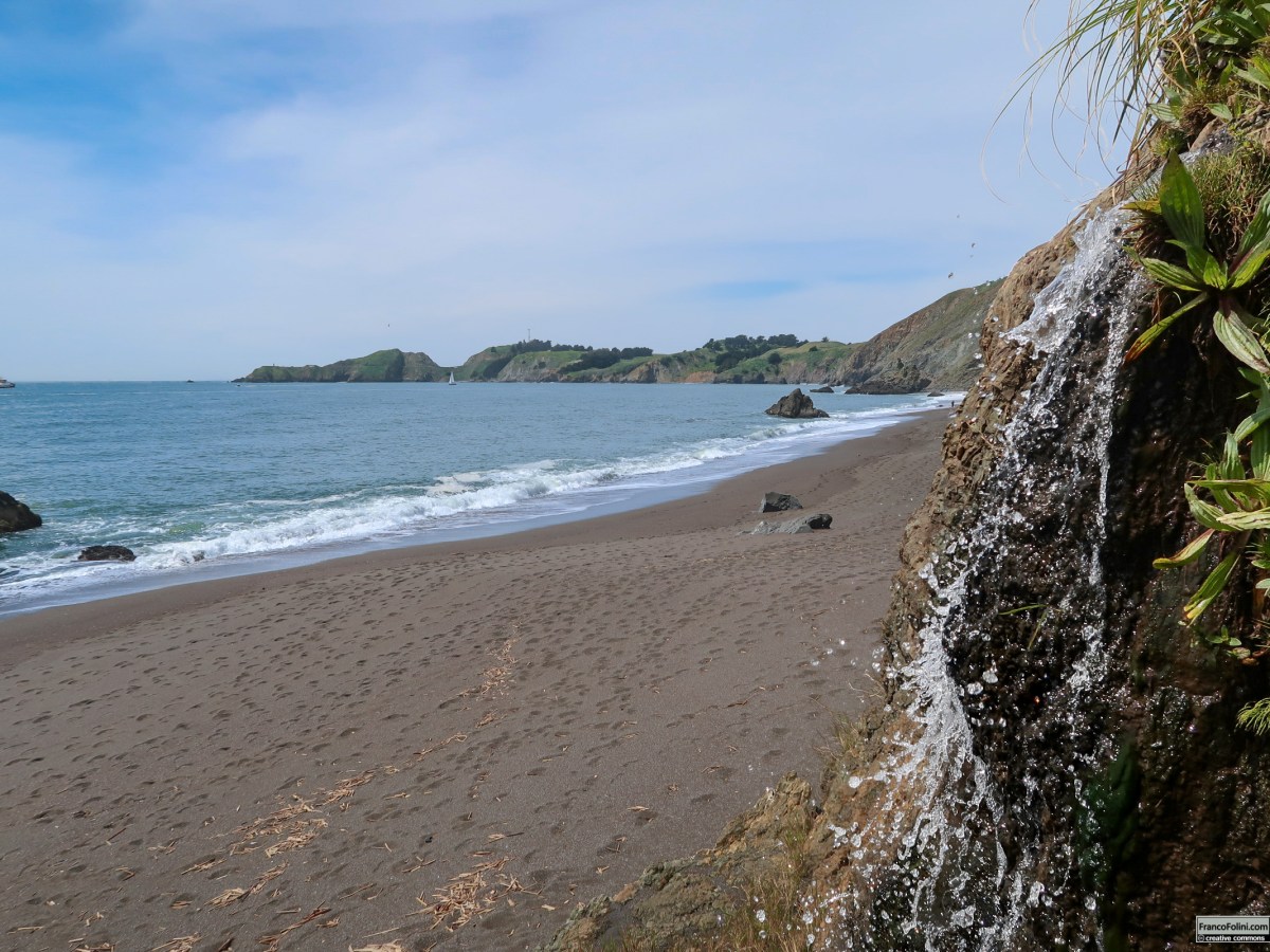 Primavera: Marin County è&nbsp;fiorita!