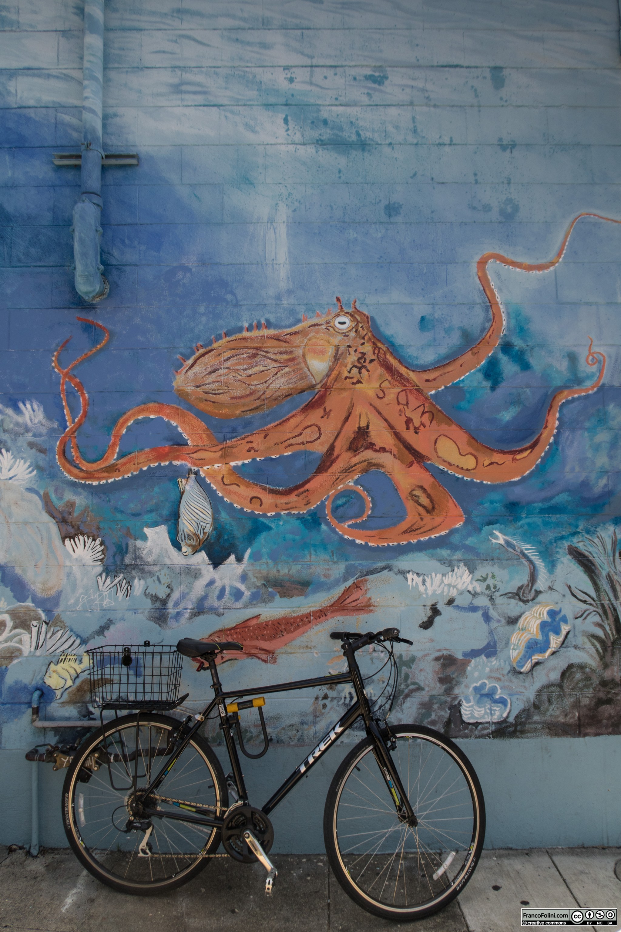 Bilke and marin mural at the CBCB cannabis dispensary in Berkeley, CA