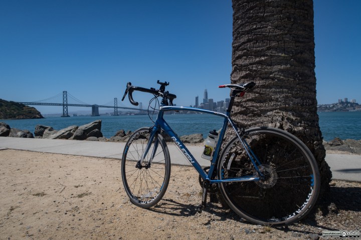 Il tratto Treasure Island-San Francisco del Bay Bridge visto dal viale "palmato" sul lato ovest dell'isola