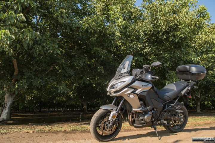 Van Allen Road, Farmington, CA: coltivazione di noci