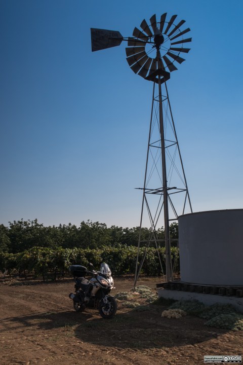 Van Allen Road, Farmington, CA: vigne con mulino a vento per l'irrigazione