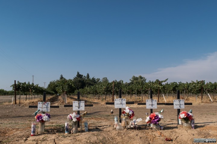 Farmington, CA: croci sul bordo della strada in memoria delle vittime di un grave incidente
