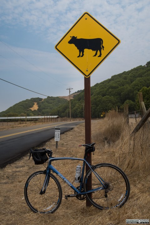 Siamo nella terra dei cowboy, come suggerisce il cartello