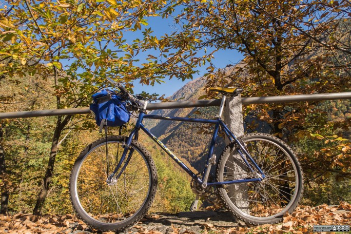 Tra i rami si puo' intravedere l'ingresso della Valfontana che in questo punto si affaccia sulla Valtellina