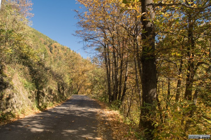 Il primo tratto della strada che entra nella Valfontana