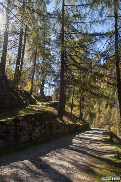 Luci ed ombre si alternano continuamente