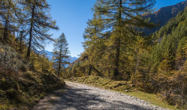 La strada , benche' ripida e sconnessa, offre continuamente imperdibili scorci
