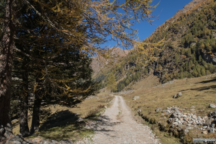 Dopo la lunga salita finalmente si sbocca sul tratto pianeggiante che attraversa il Piano dei Cavalli
