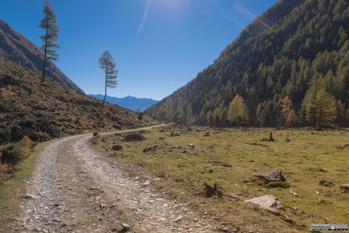 I pascoli tra l'Alpe Campiascio e il Piano dei cavalli