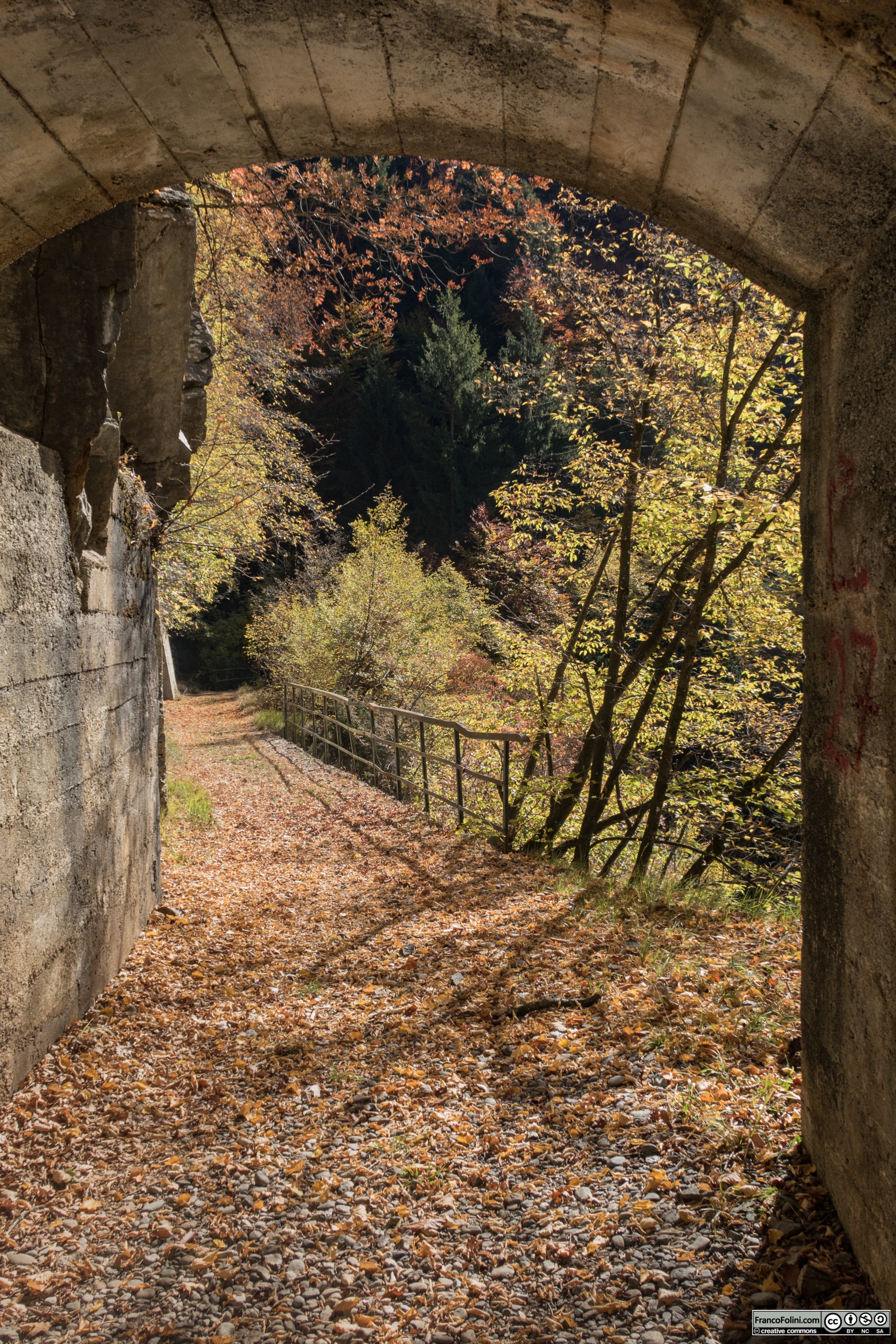 Come lascia intuire il manto di foglie secche, la decauville tra il Gaggio e Vedello è poco frequentata, in particolare nel periodo autunnale.