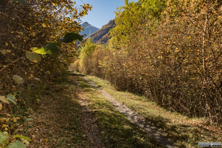 Avvicinandosi alla località Vedello le gallerie terminano e il percorso attraversa pianori e zone meno selvagge.