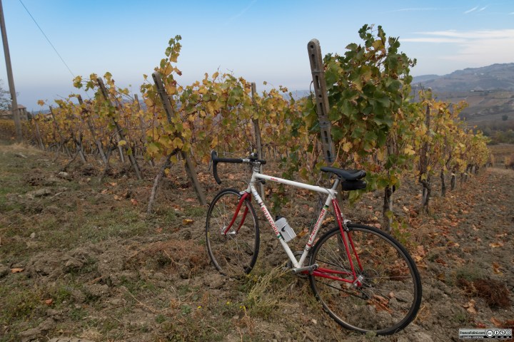 Questa e' la zona in cui si produce in particolare il Pinot Nero dell'Oltrepò