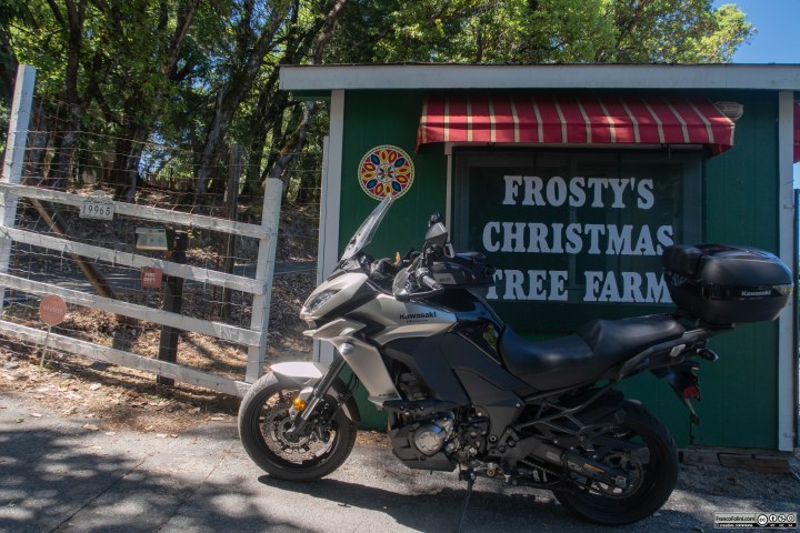 Chiaramente non e' questa la stagione migliore per visitare Frosty's Christams Trees, una vendita di alberi di Natale.
