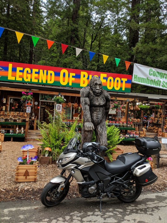 Queste sono le terre in cui sono ambientate le leggende di Big Foot. Che c'e' di meglio del vendere souvenir di Big Foot ai turisti?