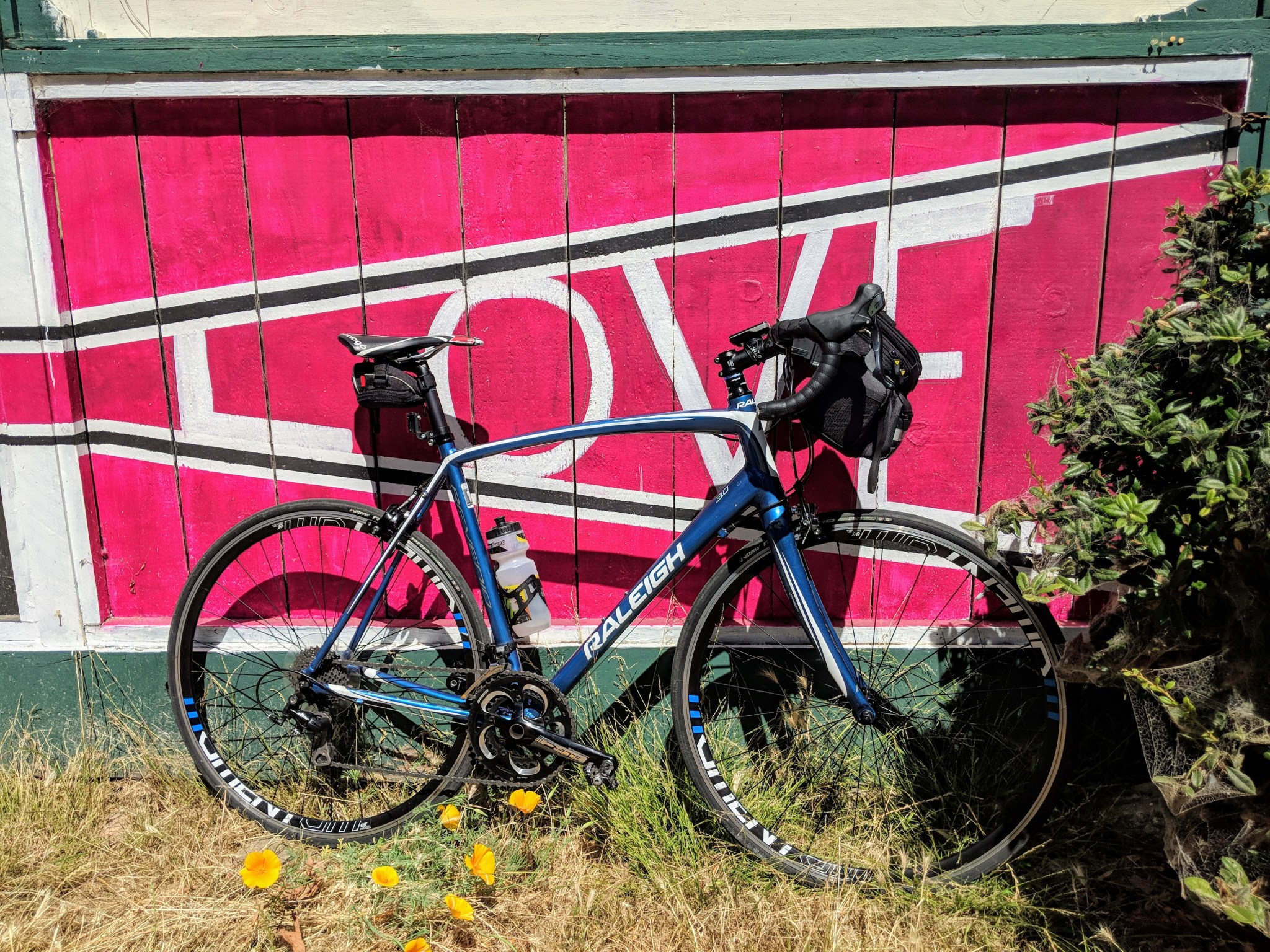 Uno dei tanti murali dipinti sulla staccionata che delimina la pista ciclabile Ohlone Greenway tra El cerrito e Berkeley.