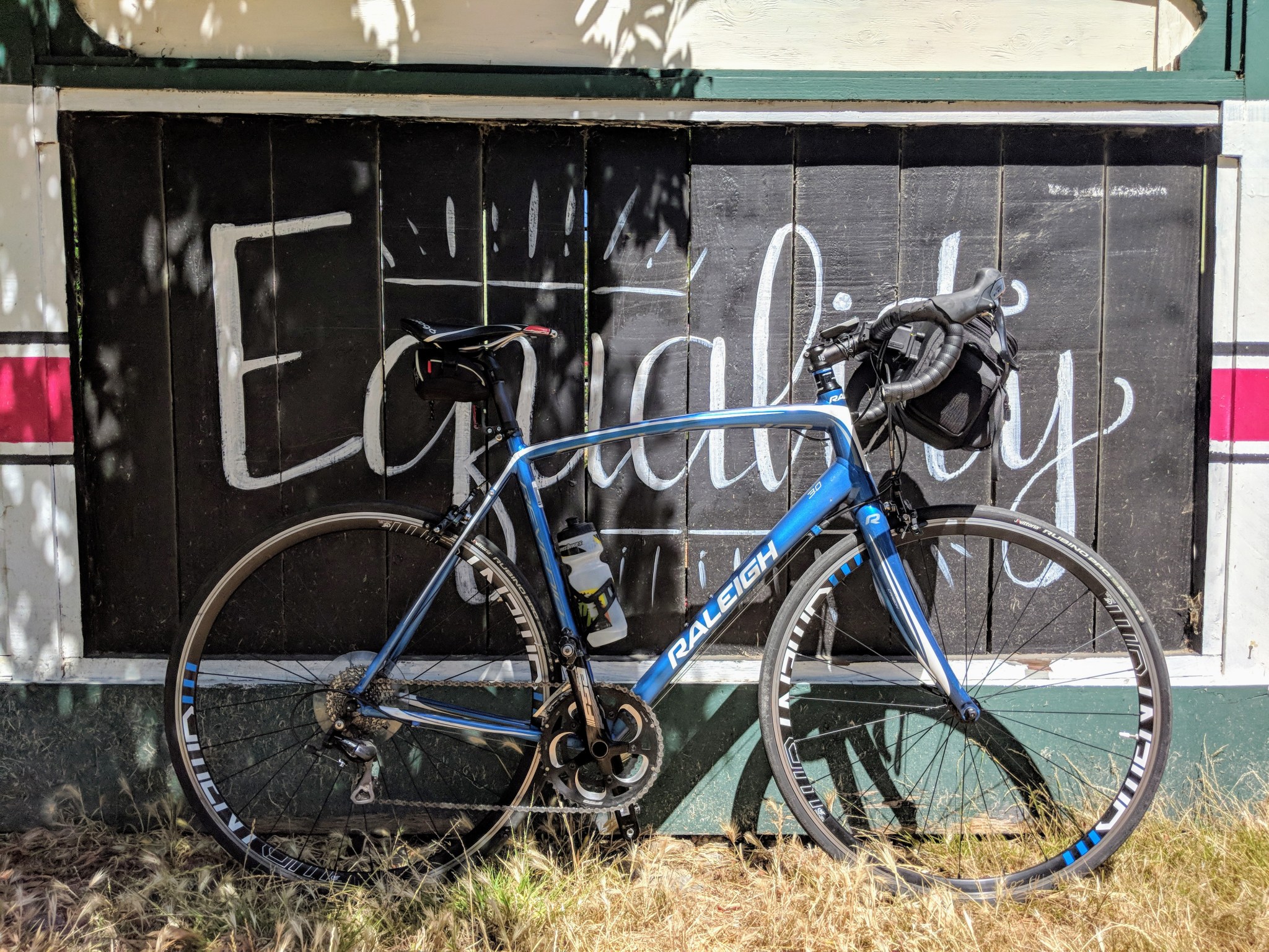 Uno dei tanti murali dipinti sulla staccionata che delimina la pista ciclabile Ohlone Greenway tra El cerrito e Berkeley.