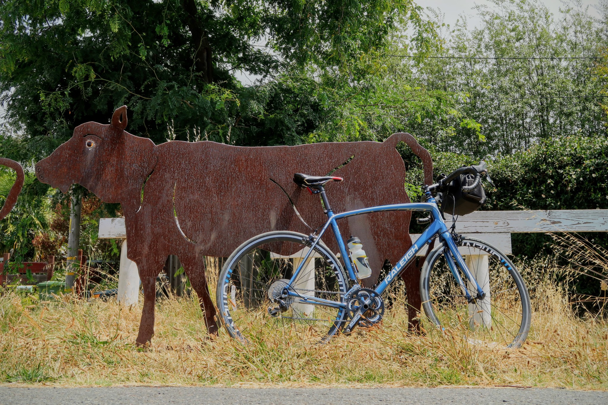 Ohlone Greenway e' una pista ciclabile che attraversa gli abitati di Richmond e Berkeley. In mancanza di veri bovini pascolo la pista ciclabile e' stata dotata di vacche di metallo.