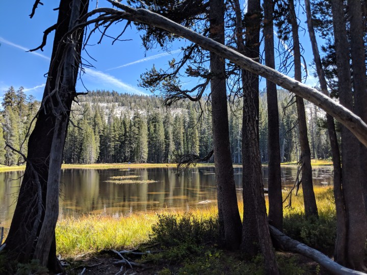 Il piccolo ma bellissimo Siesta lake sul lato destro della strada che da Yosemite National Park porta al Tioga Pass. California