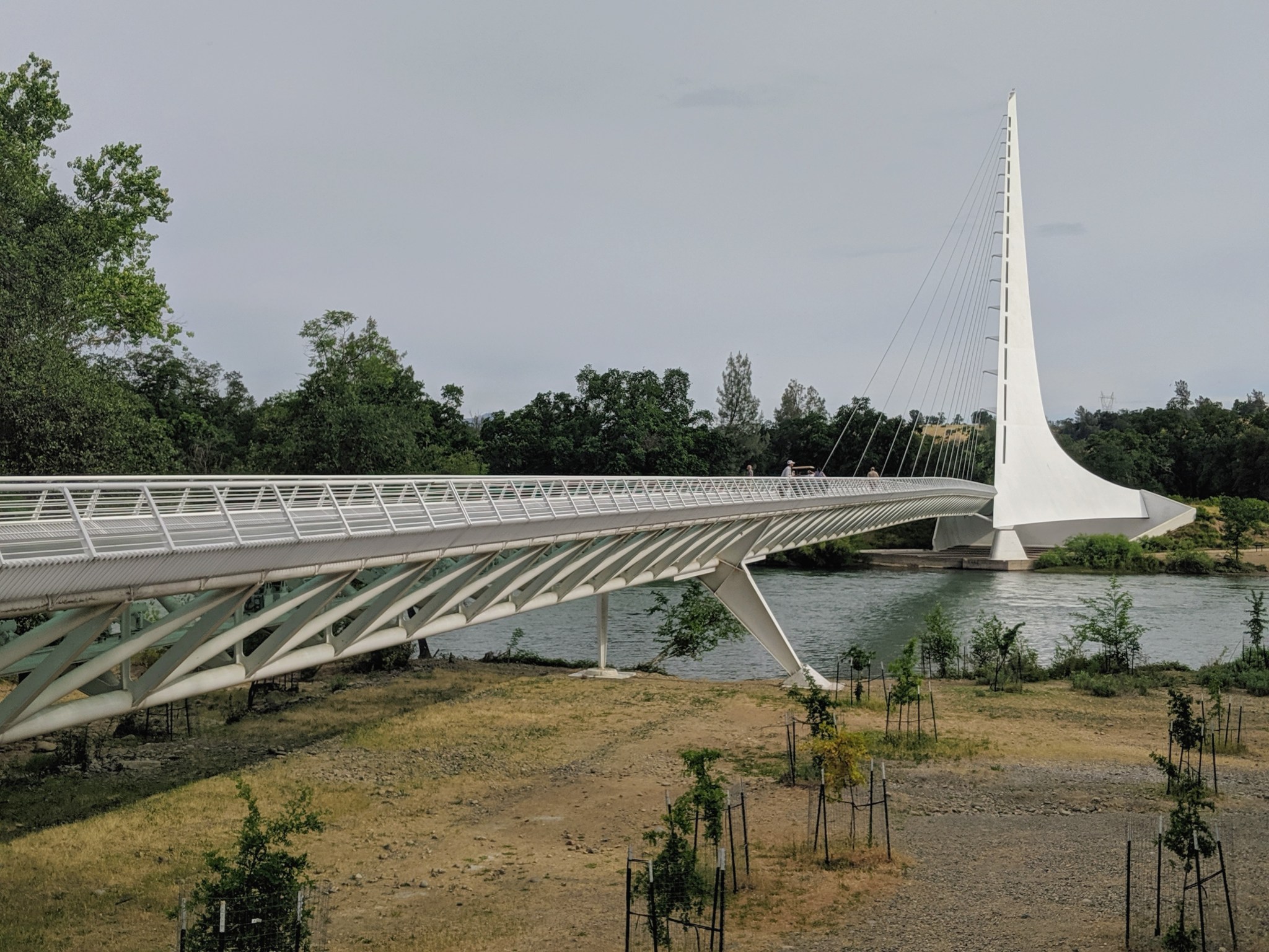 reve visita al Sundial Bridge (Ponte ciclo-pedonale Meridiana) sul fiume Sacramento presso il Turtle Park a Reddings, CA. 
Il ponte è stato progettato dall'architetto spagnolo Santiago Calatrava.