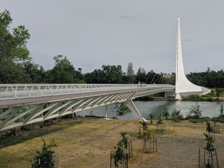 Sundial Bridge at Turtle Park. Reddings, CA