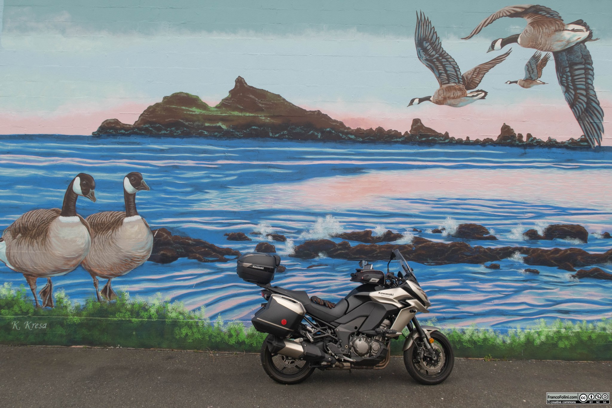 Ovviamente non poteva mancare una foto della mia Kawasaki Versys davanti a un murale. Questo murale dedicato alle oche canadesi si trova a Crescent City, CA