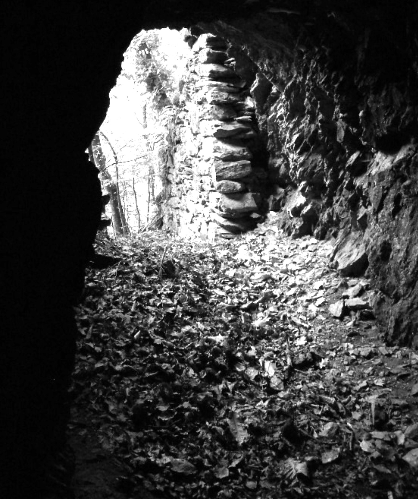 The cave I discovered as a kid is just a couple of miles from my home. Only later did I learn that the cave is not very old. The Nazi dug it in 1944-45. It was part of a project to create a military stronghold to protect the retreat of German troops crossing the valley while going back to Germany. Luckily, it was never used because of the sudden capitulation of the Italian front in late April 1945.