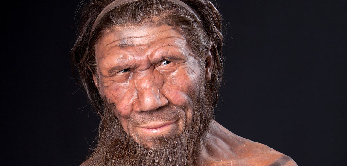 Modern Reconstruction of a Neanderthal