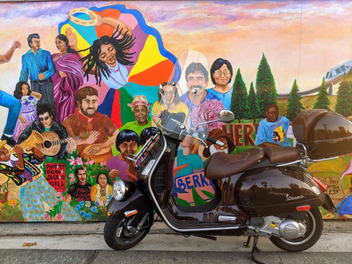 Ashby Avenue, Berkeley: a recent mural painted on the fence near the intersection with Martin Luther King Avenue.