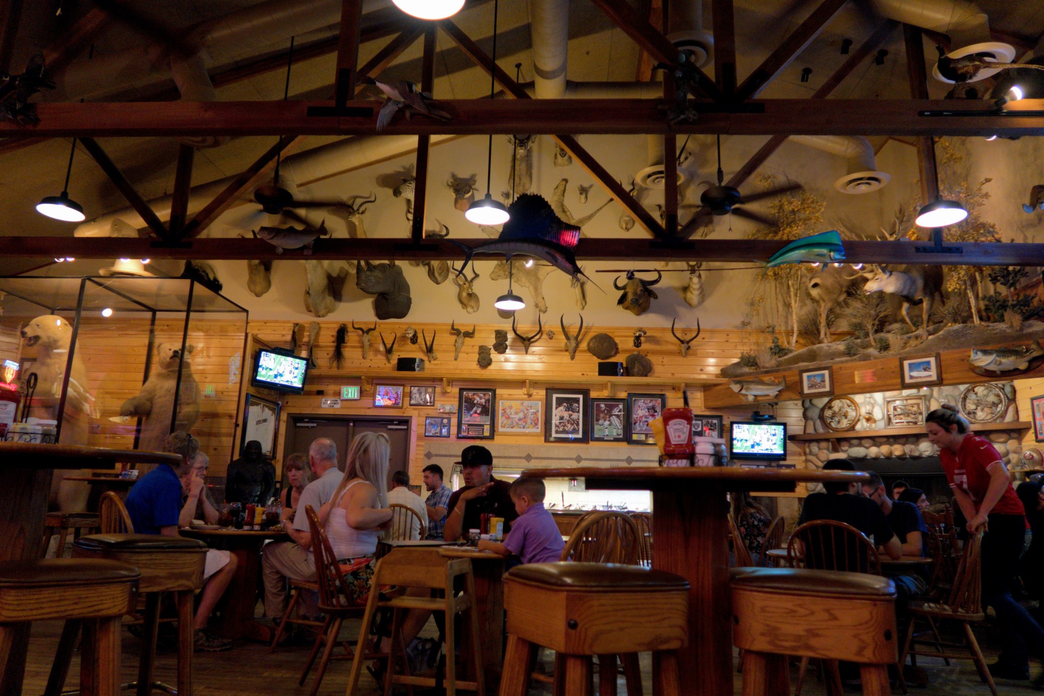 Il ristorante italo-americano Granzella's, lungo la Highway 5 a Williams, CA. Nel ristorante si possono trovare centinaia di trofei di caccia di tutti i continenti, inclusi due giganteschi orsi bianchi impagliati.