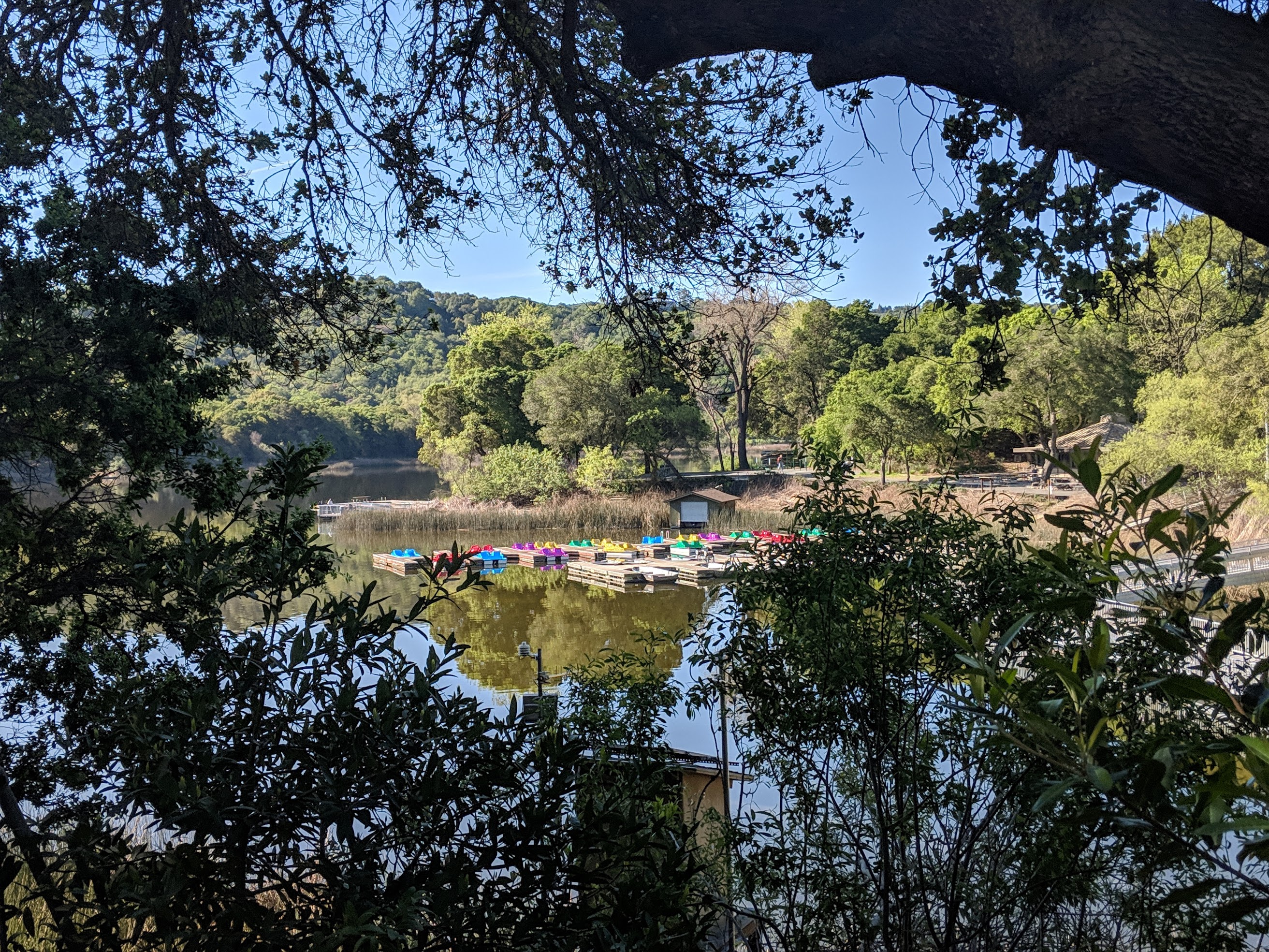 Oltre le colline di Oakland e Berkeley si trovano alcune piccole cittadine comm Lafayette. Non lontano dal centro di lafayette il laghetto Lafayette Reservoir offre un bel loop di 4.6 km, tutti all'ombra, perfetto per le giornate calde.