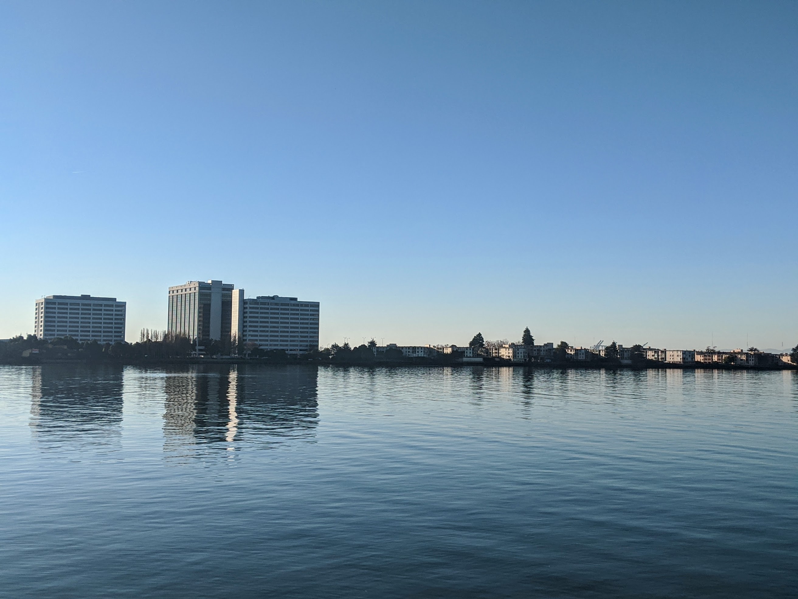 Immagine catturata lungo il Bay Trail che costeggia la baia di San Francisco su lato est. Questo punto si chiama Point Emery Park. Offre un piccolo parcheggio e può essere usato come punto di partenza per corsette che seguono il Bay Trail.
